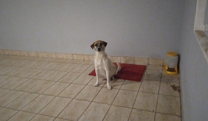 Sonho de empreender on line 