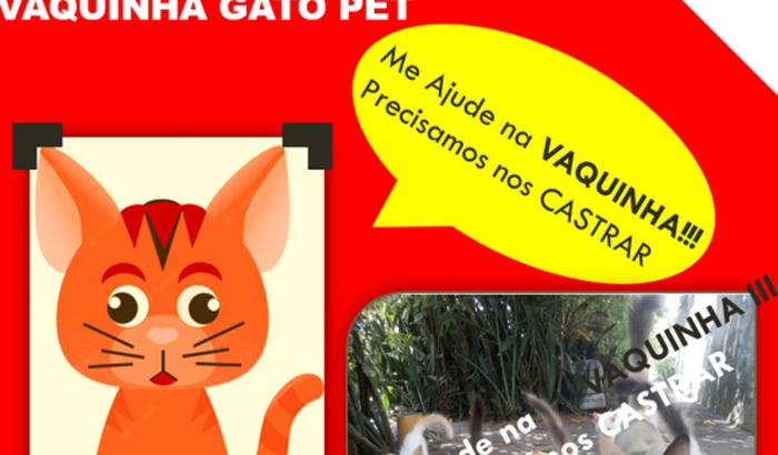 FÉLINOS FELIZ, PARA GARANTIR A FELIIDADE DOS GATINHOS FAZEMOS UMA MOVIMENTAÇÃO PARA A CASTRAÇÃO DOS GATOS