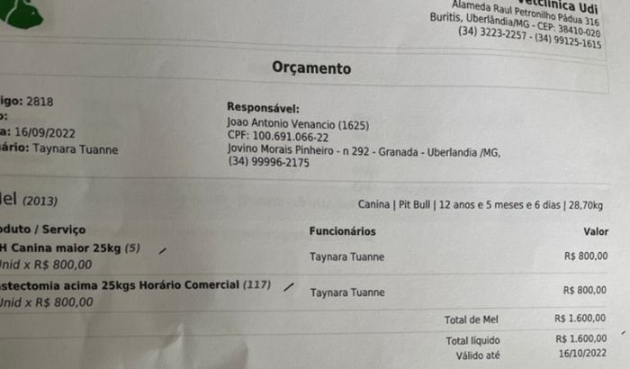 Cirurgia para retirar tumor da minha cachorrinha mel