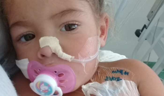 Ajudar a mãe ló, no tratamento da pequena Eloá😢