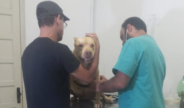 Ajuda no tratamento da Lilith