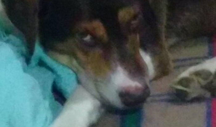 DOAÇÕES PARA MEDICAMENTOS E EXAMES.