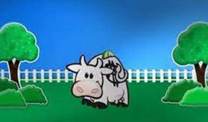 NESTE NATAL, FÉRIAS, INÍCIO DE ANO - AJUDE A AJUDAR OS CÃES DA ONG A4