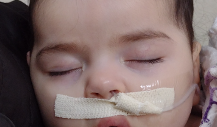 Ajude no tratamento da Aurora