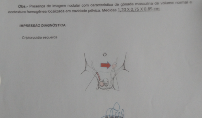 Ajude Lorenzo De Oliveira Lopes