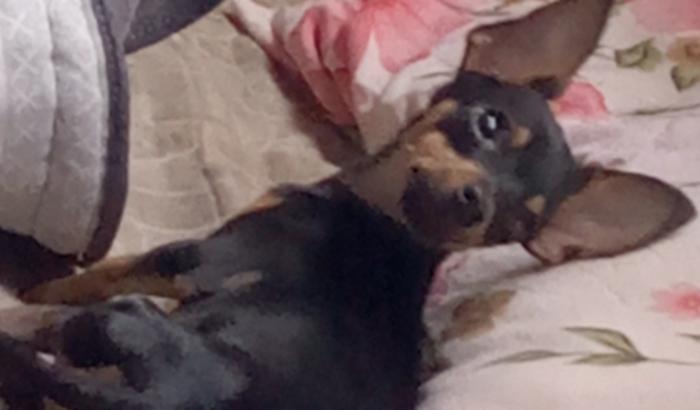 Me ajude a salvar o Thor