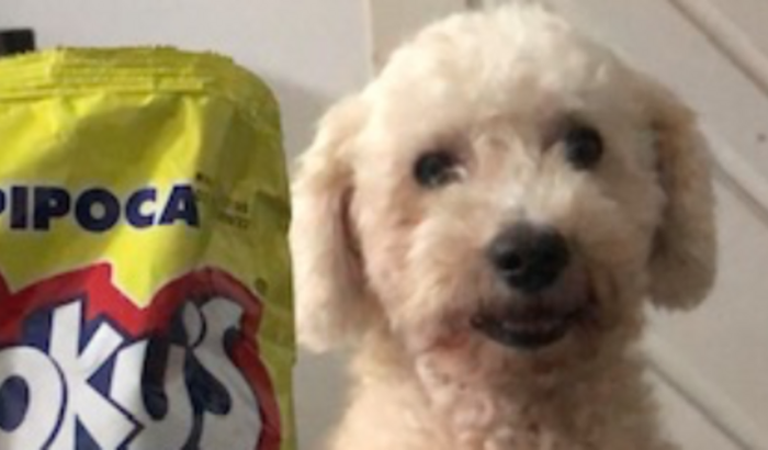 Confraternização Unibratec 