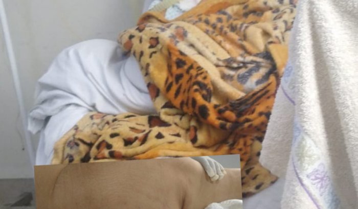 Ajude a Sonia  voltar.