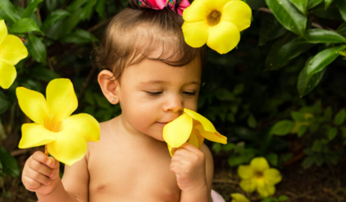 Vakinha solidária Pra Laurinha 