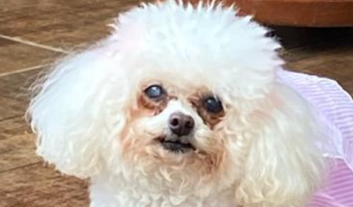 De olho na Maria Julia