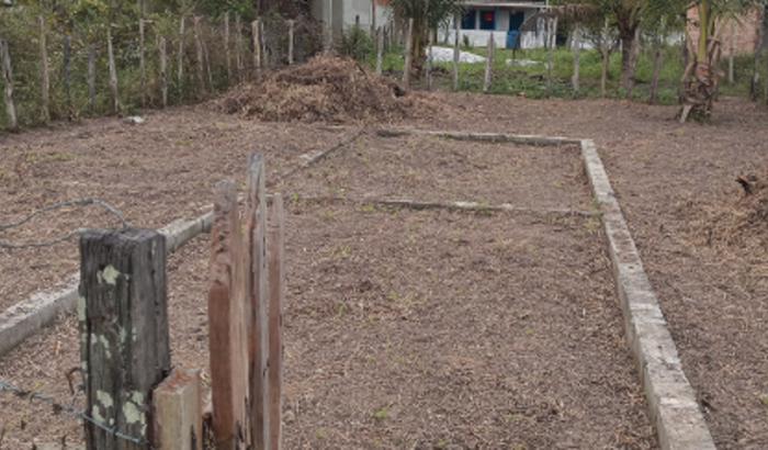 Para construir a minha casa e pagar os remédios da meu filho e muito caro eu não tenho condições 