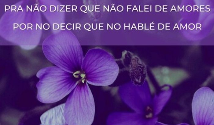 Publicação do livro: Pra não dizer que não falei de amores 