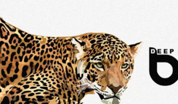 DEEP HOUSE BRASIL SOUNDCLOUND