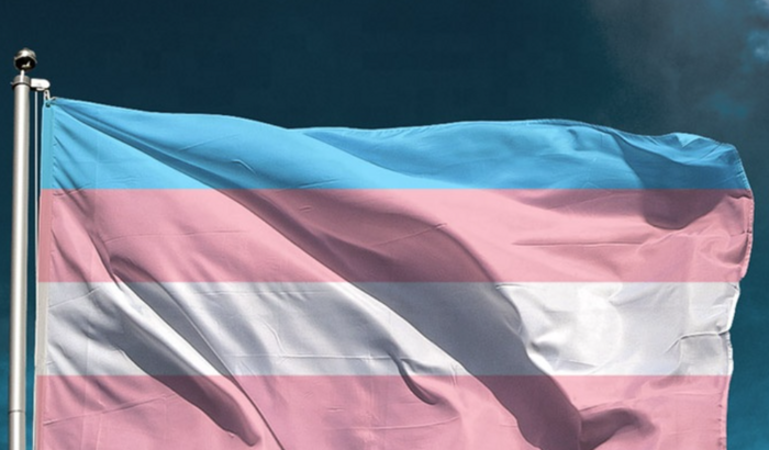 TOP SURGERY - MASTECTOMIA