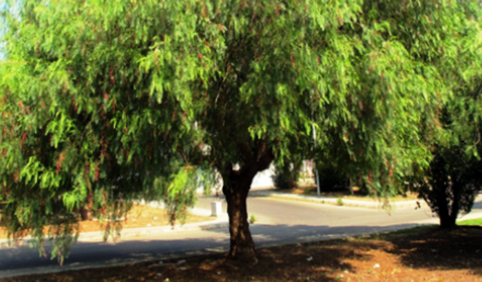 Patrocinio para cicloviagem