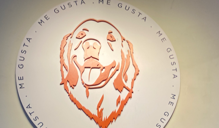 Vakinha para ajudar a reerguer o Me Gusta bar 