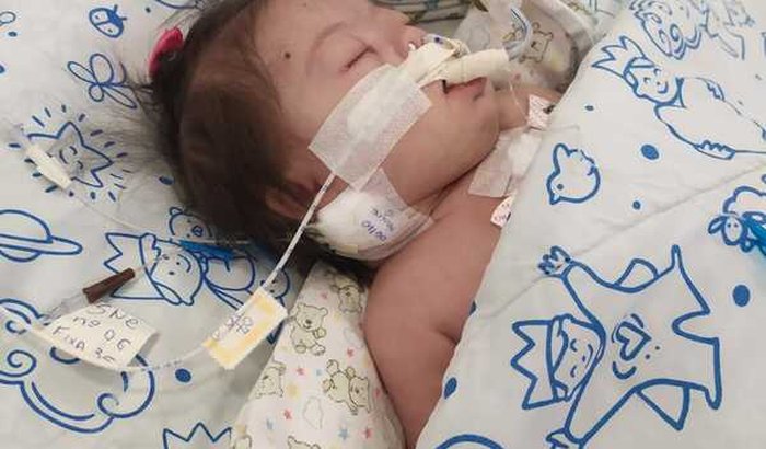 Liz Eloah Nossa Luz ❤️