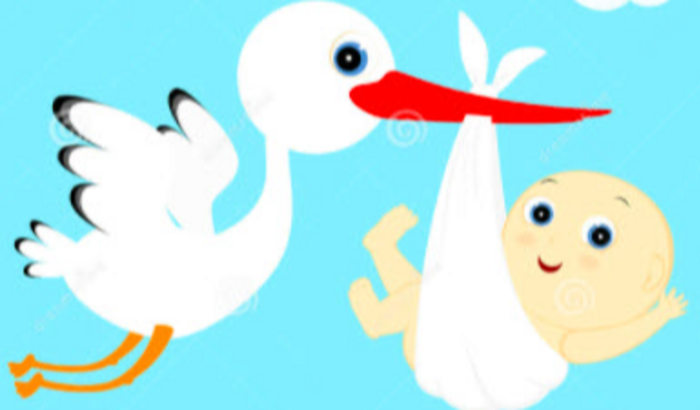 Chá de Bebê da Anny