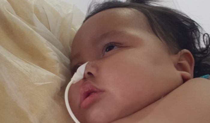 Todos com a Cecília