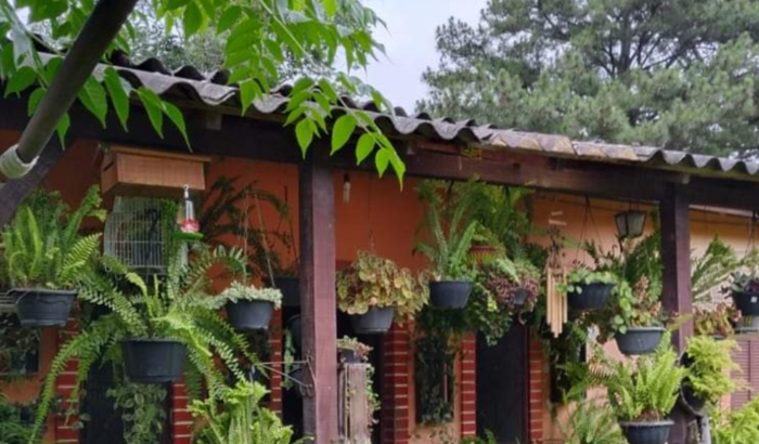 Vou perder minha casa pro banco