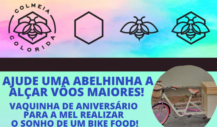 VAQUINHA DE ANIVERSÁRIO PARA A MEL REALIZAR UM SONHO!