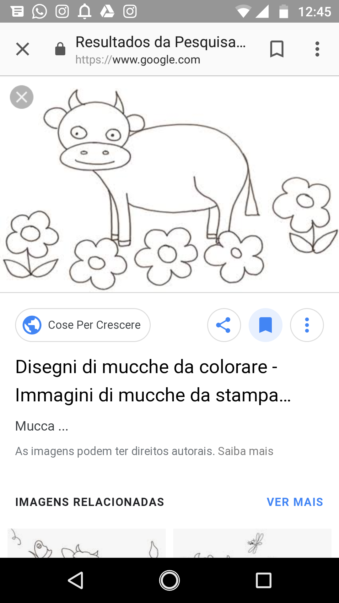 Campeonato brasileiro de fisiculturismo