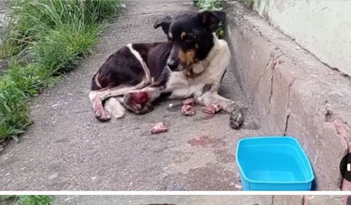 Medicamentos Para “Menino”