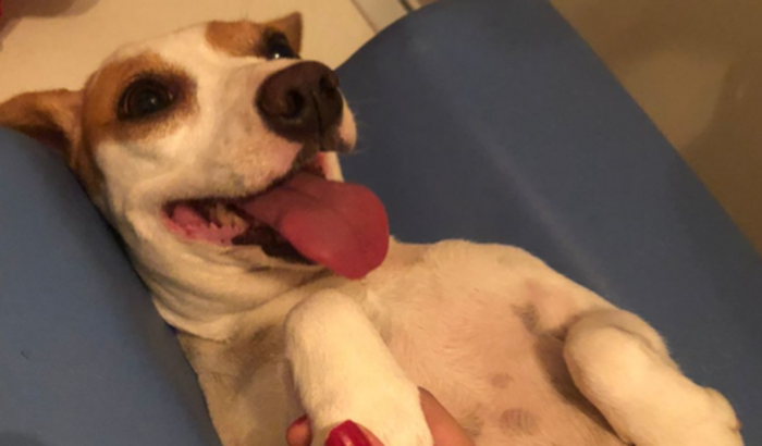 Ressonância e cirurgia ortopédica