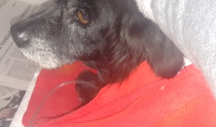Preto precisa vir pra casa