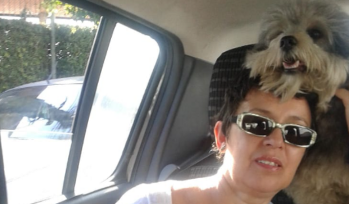 Ajude na Internação da Helo