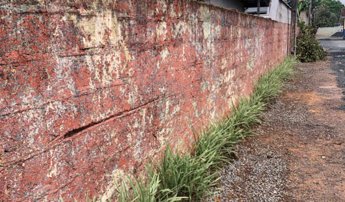 Incentivando a arte!