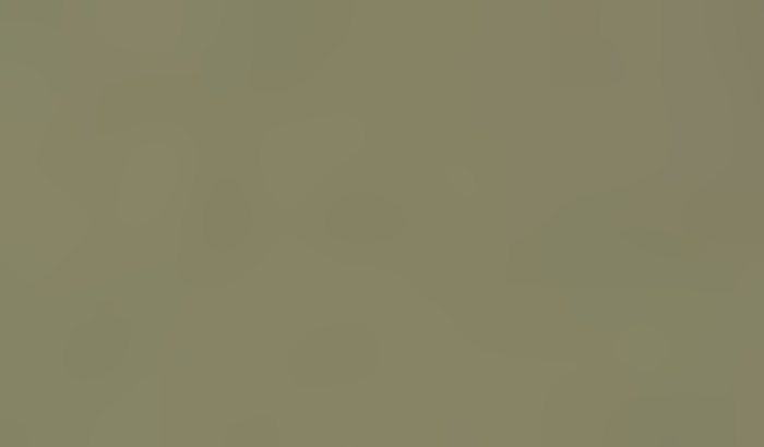 Ação do coração ❤️