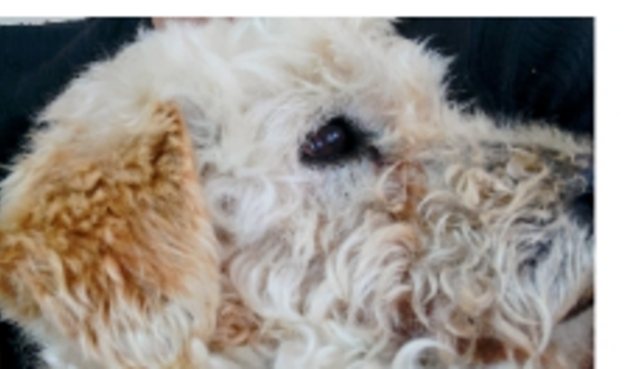 Vaquinha para Tratamento do bebe