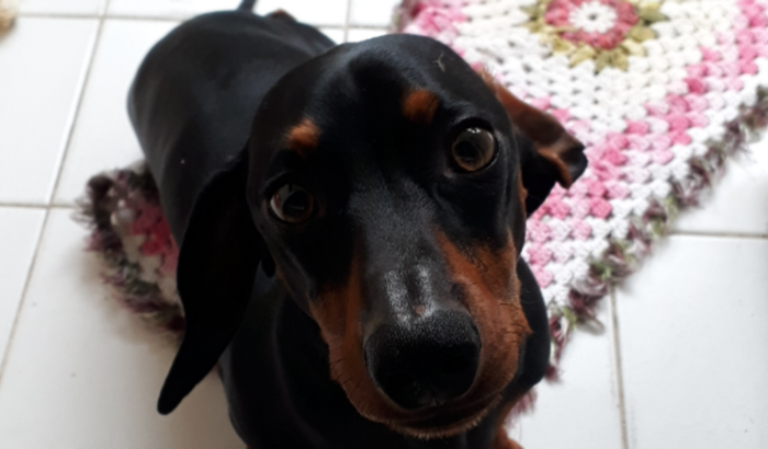 AJUDA NA CIRURGIA DO NUPA