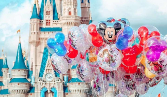 Intercambio Disney