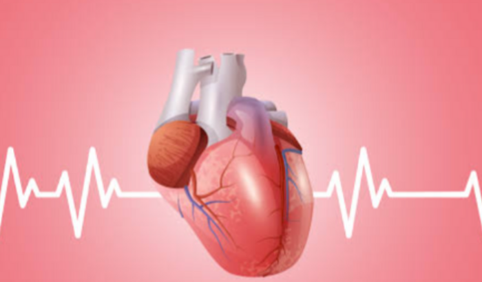 Meu coração pede Socorro!!! 