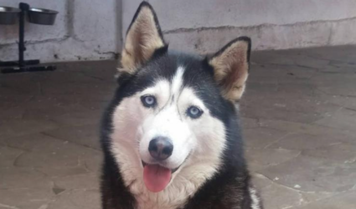 Tomografia para Argai