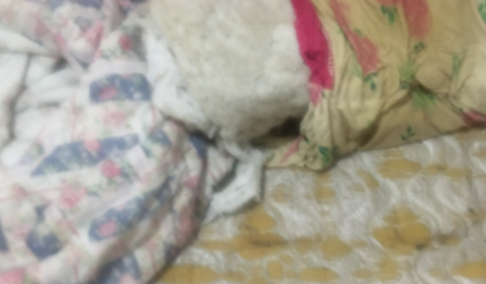 ajuda a comprar comida e pagar o aluguel