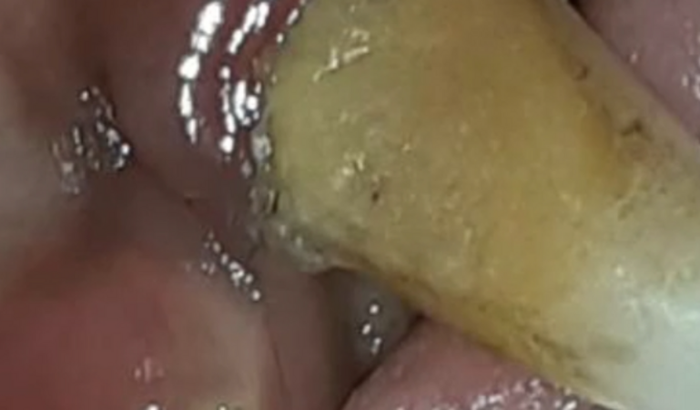 Ajude a pagar a consulta de meu cachorro