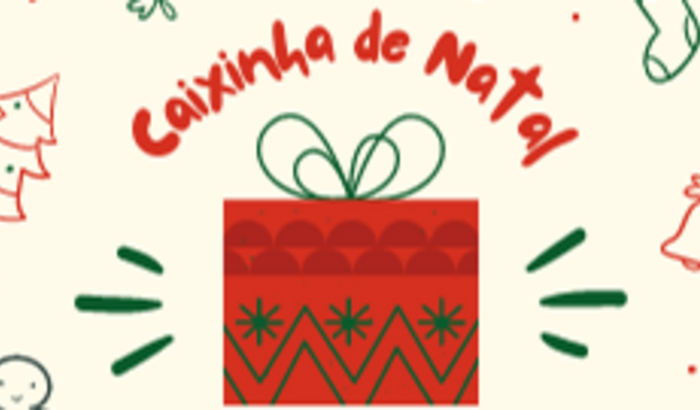 Caixinha de Natal - Betta Leite