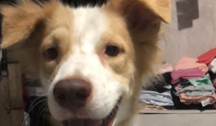 Ajuda no tratamento do Loki