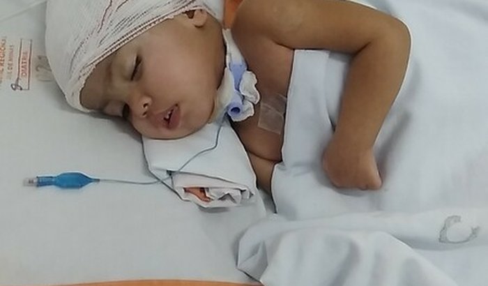 Vida Nova para Laurinha