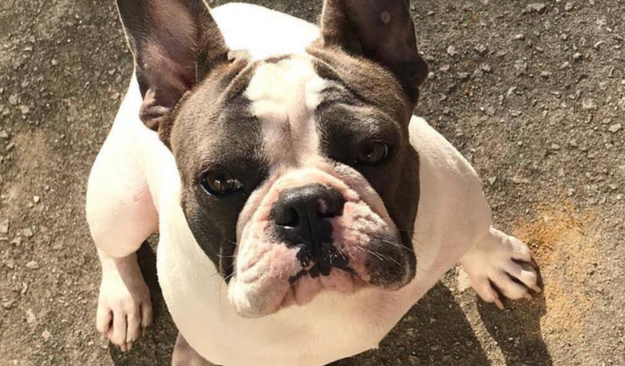 Ajuda para cirurgia na coluna do Maui