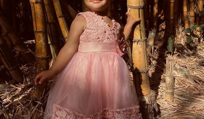 Colabore com o retorno do meu trabalho