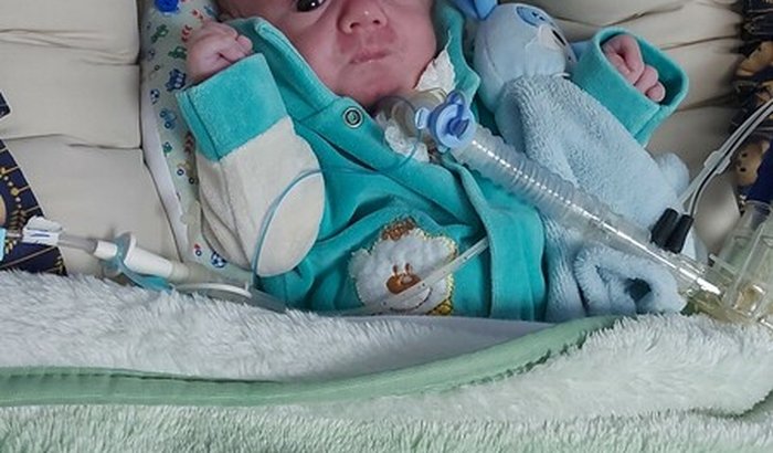 Ajudar o Rael ir para casa 