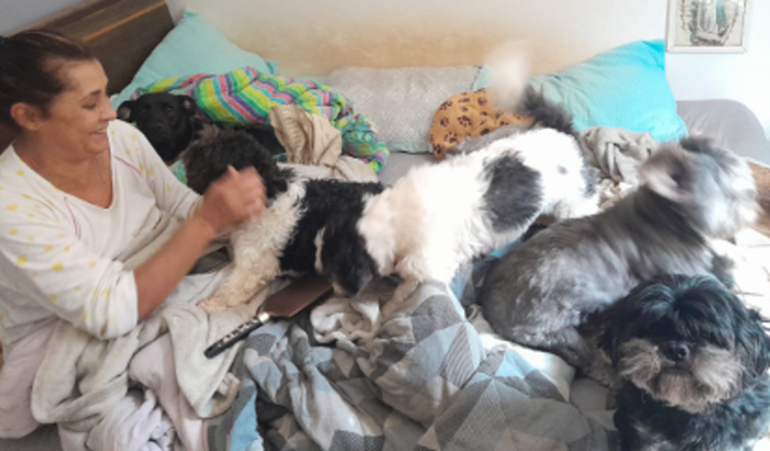 Doação de alimentos e Ração para Cachorros e Gatos 