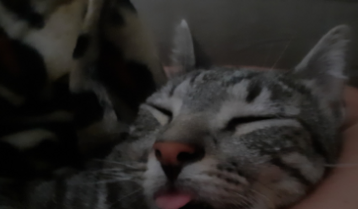 Ajude-nos, ajudar o Tom