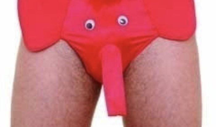 Cueca pro William