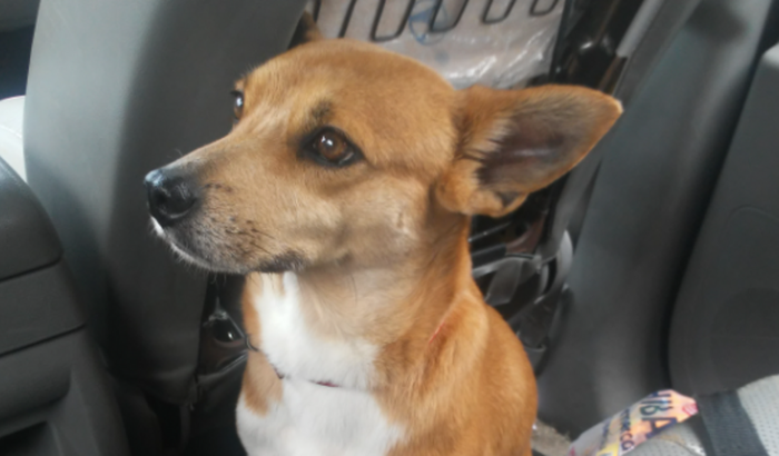 Ajudem a salvar July