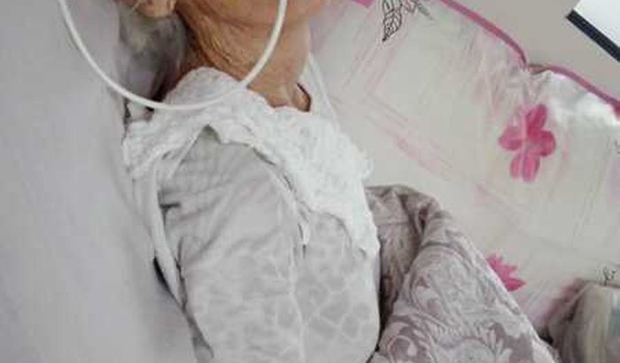 Todos pela vó Shirley